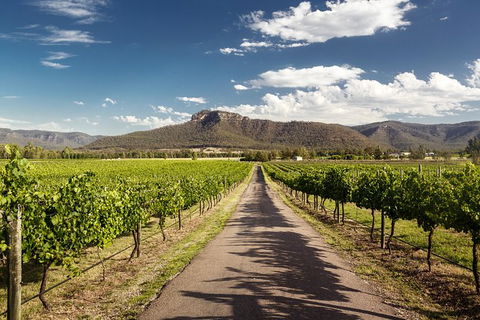 Hunter Valley Highlights Private Wine Tour From Sydney - Darwin Tourism 2