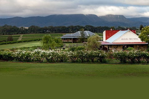 Hunter Valley Highlights Private Wine Tour From Sydney - Darwin Tourism 5