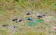 Jabiru 60 Minute Scenic Flight - thumb 7
