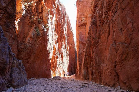Best Of Alice Springs Full Day Tour - Darwin Tourism 6