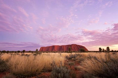 Sunset Australian Barbecue Dinner In Uluru - Darwin Tourism 0