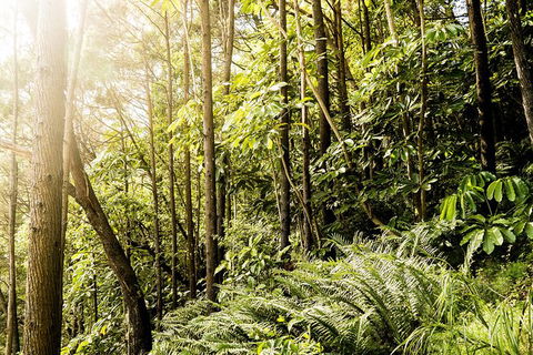 Serenity Cruise To Australia\'s Everglades - Darwin Tourism 8