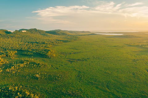 Serenity Cruise To Australia\'s Everglades - Darwin Tourism 6