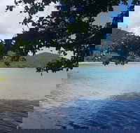 Full Day Tour in the Daintree - Darwin Tourism