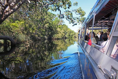 Everglades Eco Safari To Australia\'s Everglades - Darwin Tourism 4