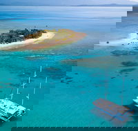 Wavedancer Low Isles Great Barrier Reef Sailing Cruise from Cairns - Darwin Tourism
