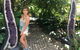Byron Bay And The Crystal Castle Day Tour From Gold Coast - thumb 5