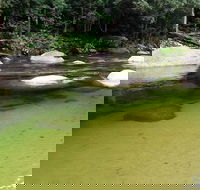 Afternoon Half-Day Daintree Rainforest and River Tour - Darwin Tourism