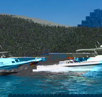 Private Standard Charter Experience in Whitsundays - Darwin Tourism