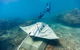 Private Standard Charter Experience In Whitsundays - thumb 7