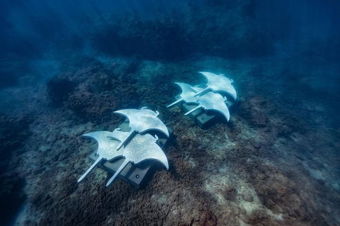 Private Standard Charter Experience In Whitsundays - Darwin Tourism 6