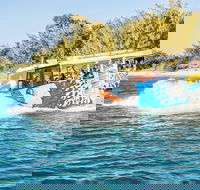 Gold Coast Quack'rDuck Amphibious Tour from Surfers Paradise - Darwin Tourism