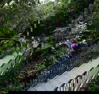 4-Day Cairns with Great Barrier Reef and Daintree Rainforest - Darwin Tourism