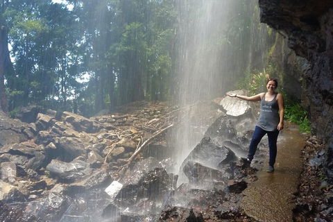 Small Group Tour (Max 6) Gold Coast Super 7 Waterfalls Tour: Springbrook - Darwin Tourism 1