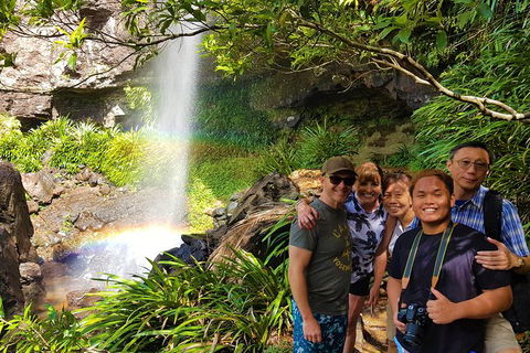 Small Group Tour (Max 6) Gold Coast Super 7 Waterfalls Tour: Springbrook - Darwin Tourism 2