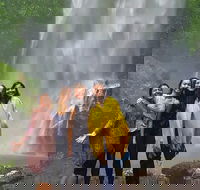 Small Group Tour Max 6 Gold Coast Super 7 Waterfalls Tour Springbrook - Darwin Tourism