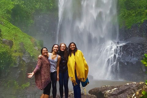 Small Group Tour (Max 6) Gold Coast Super 7 Waterfalls Tour: Springbrook - Darwin Tourism 0