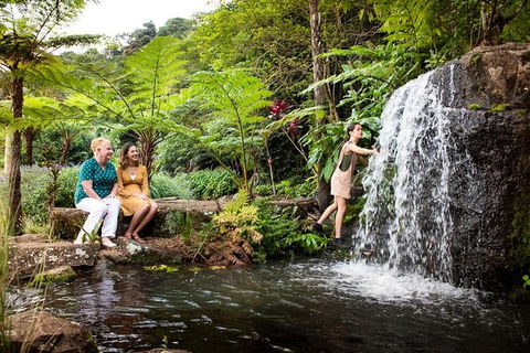 Maleny Botanic Gardens Bird Aviary Experience Ticket - Darwin Tourism 7