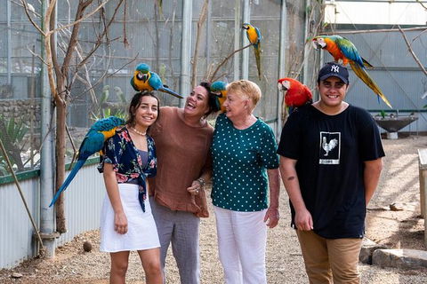 Maleny Botanic Gardens Bird Aviary Experience Ticket - Darwin Tourism 5