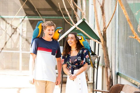 Maleny Botanic Gardens Bird Aviary Experience Ticket - Darwin Tourism 8