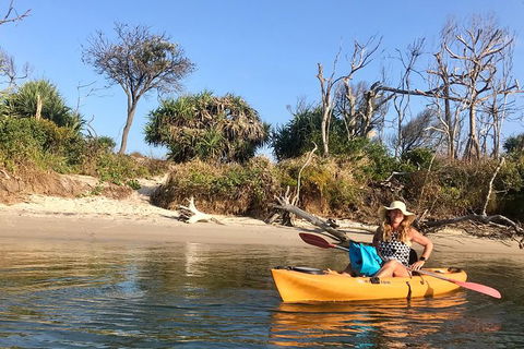 1-Hour Single Or Double Kayak Hire On Golden Beach, Caloundra - Darwin Tourism 3