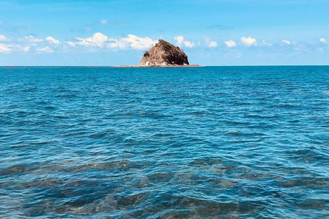 Exclusive Double Island Boat Tours From Palm Cove - Darwin Tourism 10