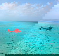 Port Douglas - Cruise and 10 Minute Scenic Flight - Darwin Tourism