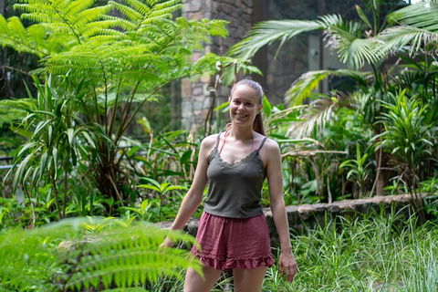Full-Day Guided Hinterland Adventure Tour In Queensland - Darwin Tourism 7