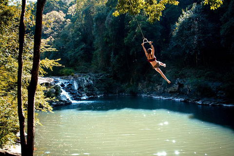 Full-Day Guided Hinterland Adventure Tour In Queensland - Darwin Tourism 4