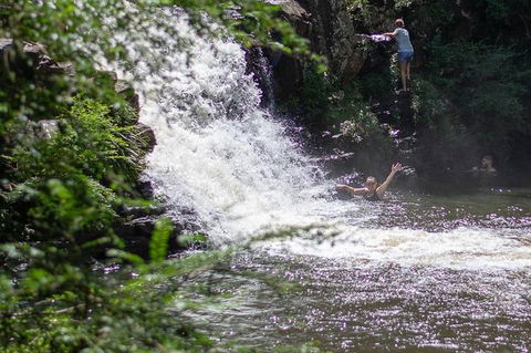 Full-Day Guided Hinterland Adventure Tour In Queensland - Darwin Tourism 6