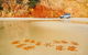 Great Beach Drive 4WD Tour - Private Charter From Noosa To Rainbow Beach - thumb 1