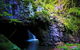 Private Tour - Rainforest & Waterfalls Extravaganza - thumb 7
