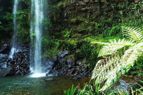 Private Tour - Rainforest & Waterfalls Extravaganza - Darwin Tourism 5
