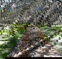 Self-guided Coast Walks - Noosa To Sydney 6 Days  Dep 25 Sep 2019 24 Sep 2020 - Darwin Tourism