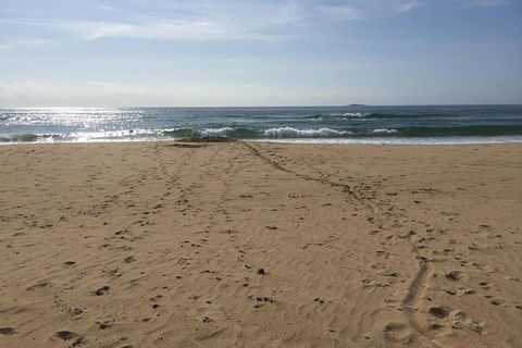 Self-guided Coast Walks - Noosa To Sydney 6 Days ( Dep 25 Sep 2019, 24 Sep 2020) - Darwin Tourism 5