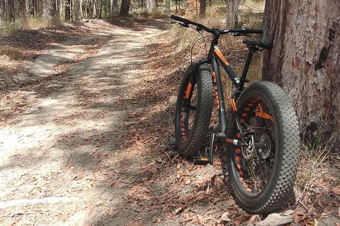 Noosa Hinterland Scenic FAT Bike & Abseil Tour - Darwin Tourism 1