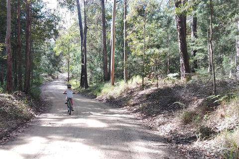 Noosa Hinterland Scenic FAT Bike & Abseil Tour - Darwin Tourism 5