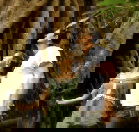 Daintree and Cape Tribulation Full Day Guided Tour - Darwin Tourism