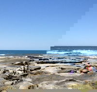 Sunshine Coast Rocky Shore Educational Eco Tour - Darwin Tourism