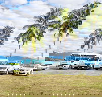 Private Transfers - Cairns Airport to Palm Cove - Darwin Tourism