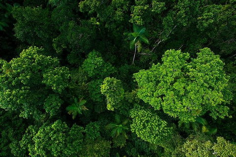 Cairns & Port Douglas All-Inclusive 7 Days Touring Package - Darwin Tourism 3