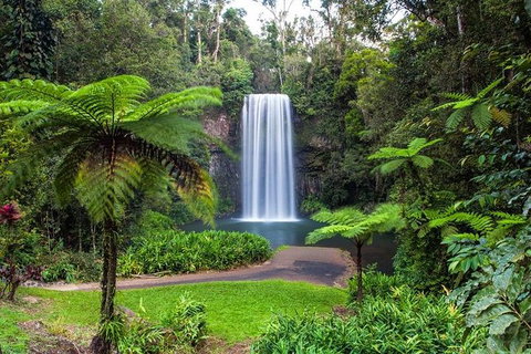 Cairns & Port Douglas All-Inclusive 7 Days Touring Package - Darwin Tourism 5