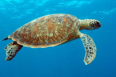 Cairns & Port Douglas All-Inclusive 7 Days Touring Package - Darwin Tourism 1