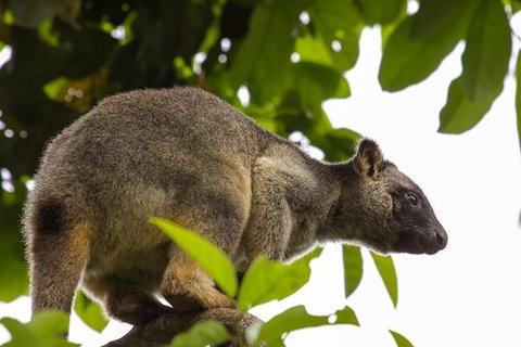 Cairns & Port Douglas All-Inclusive 7 Days Touring Package - Darwin Tourism 8