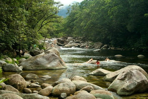 Port Douglas Daintree National Park Boutique Full-Day Tour - Darwin Tourism 2