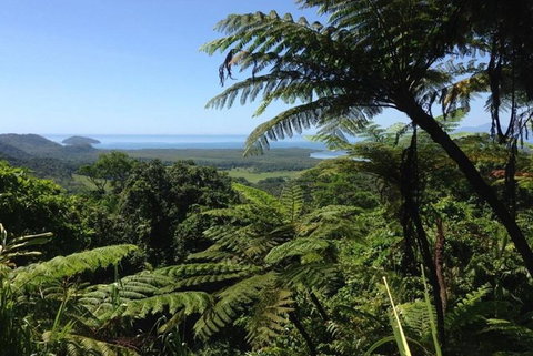 Port Douglas Daintree National Park Boutique Full-Day Tour - Darwin Tourism 1