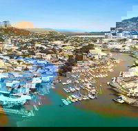 Explore Townsville 7 Hour Guided River Mountain and City Tour - Darwin Tourism
