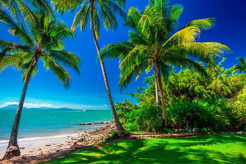 SHUTTLE - Port Douglas And Craiglie Return Transfer - Darwin Tourism 2