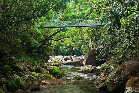 SHUTTLE - Mossman Gorge & Cooya Beach From Port Douglas (Return Transfer) - Darwin Tourism 4