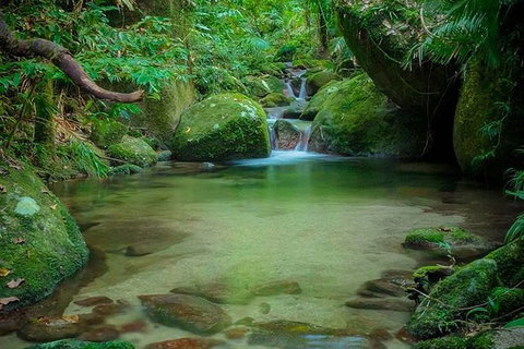 SHUTTLE - Mossman Gorge & Cooya Beach From Port Douglas (Return Transfer) - Darwin Tourism 2